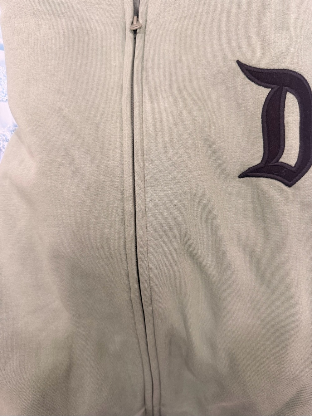 Disney Sage Green Pullover Hoodie with Black Disneyland Script - Picture 3 of 6